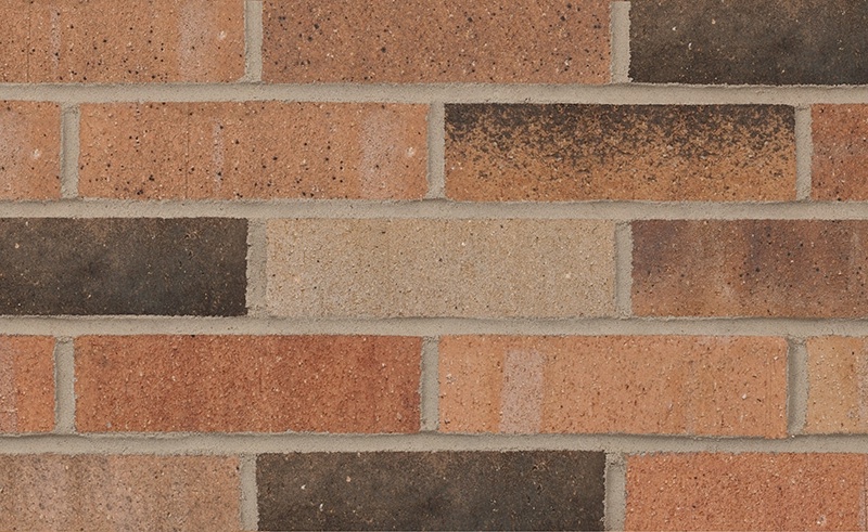 Illini Commons with Black 