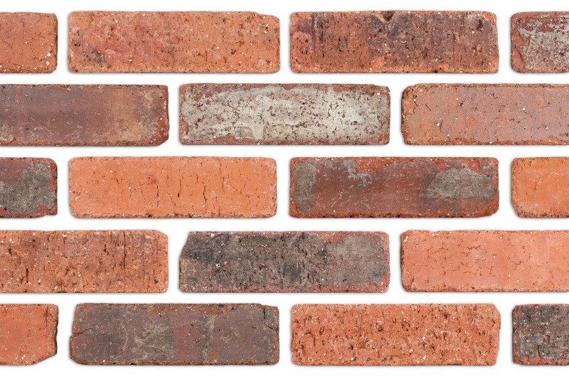 Cinco De Mayo Tumbled